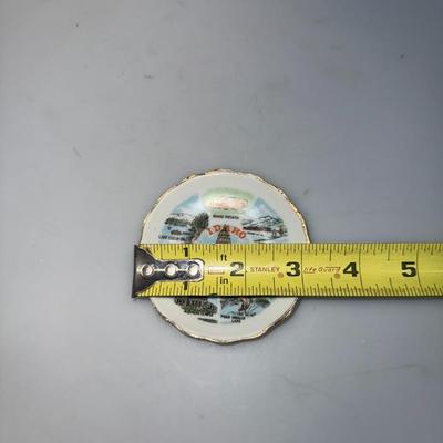 Idaho Souvenier plate