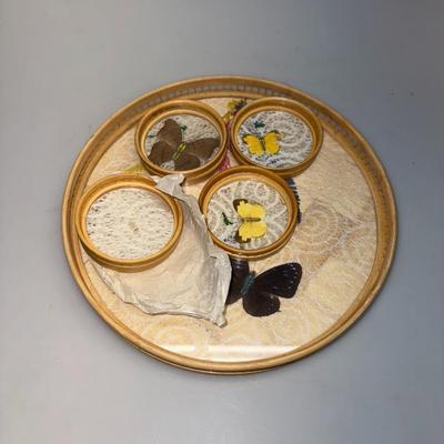 Butterfly Coaster Set