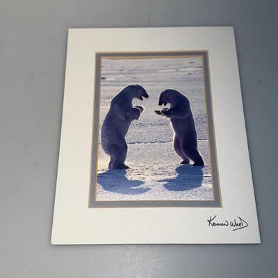 Bear Pictures Lot Signed