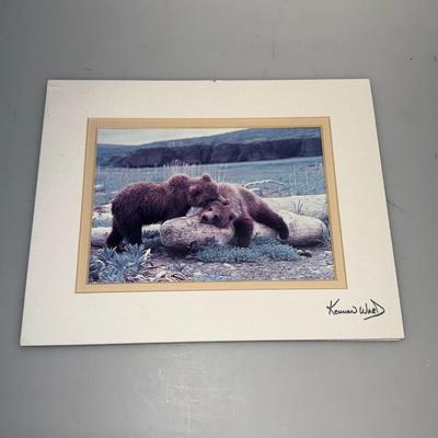 Bear Pictures Lot Signed
