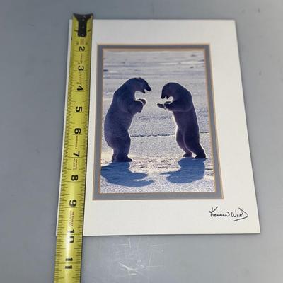 Bear Pictures Lot Signed