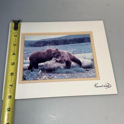 Bear Pictures Lot Signed