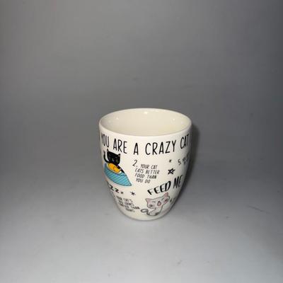 “You know you are a crazy cat lady when” Ceramic Mug