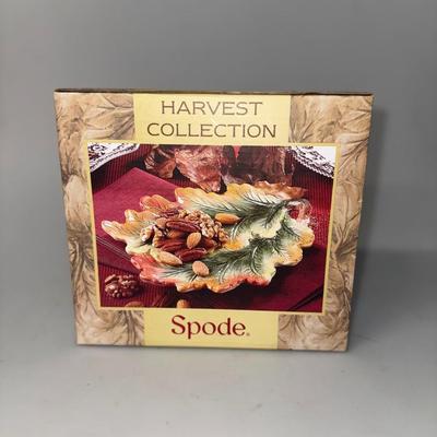 Harvest Collection Spode