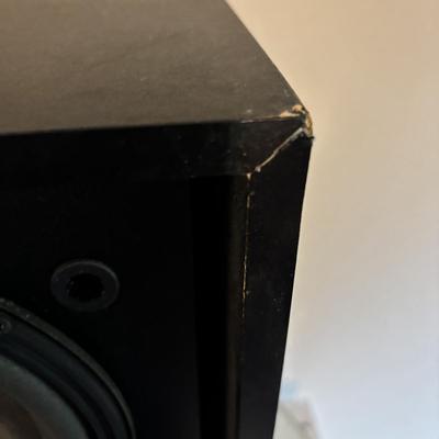 LOT 91: Bose 301 Series III Direwt/Reflecting Speakers