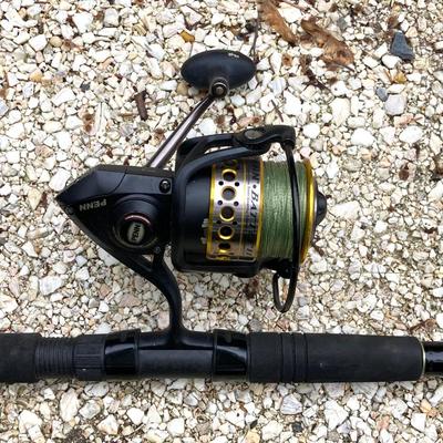 LOT 133: Daiwa 10 Foot Fishing Rod with Penn Battle Spinning Reel