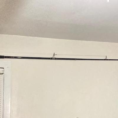 LOT 133: Daiwa 10 Foot Fishing Rod with Penn Battle Spinning Reel