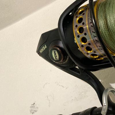 LOT 133: Daiwa 10 Foot Fishing Rod with Penn Battle Spinning Reel