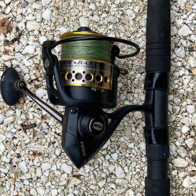 LOT 133: Daiwa 10 Foot Fishing Rod with Penn Battle Spinning Reel