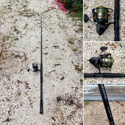 LOT 133: Daiwa 10 Foot Fishing Rod with Penn Battle Spinning Reel
