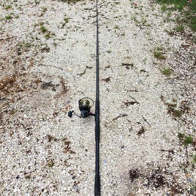 LOT 133: Daiwa 10 Foot Fishing Rod with Penn Battle Spinning Reel