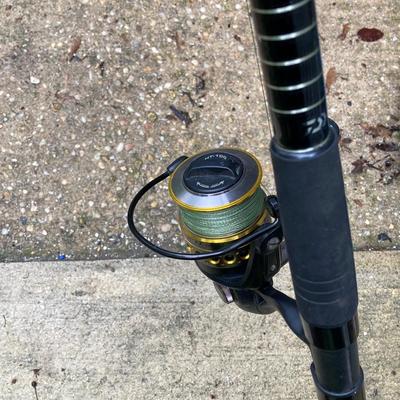 LOT 133: Daiwa 10 Foot Fishing Rod with Penn Battle Spinning Reel