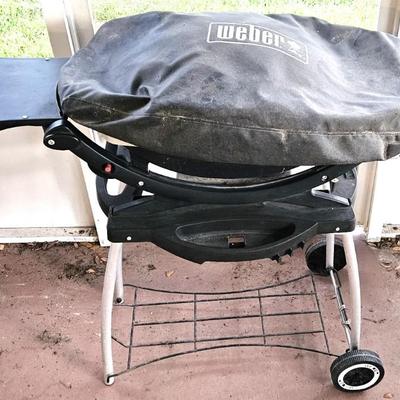Weber Propane Grill