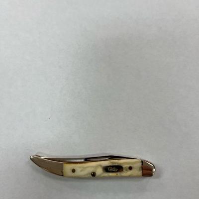 Case XX Tiny Toothpick Knife