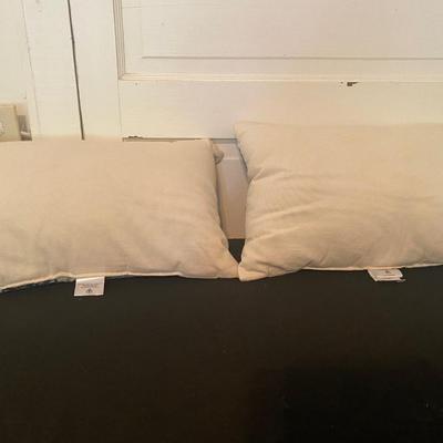 Lot of 2 Hometrends throw pillows