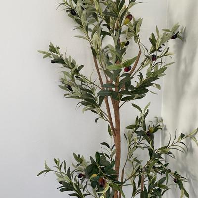Faux olive tree with rug