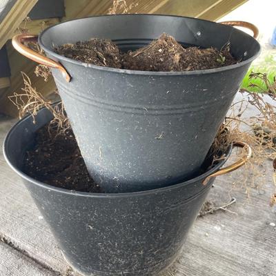 Black with gold handle pots for plants