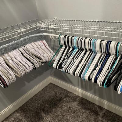 Master bedroom closet accessories and fan