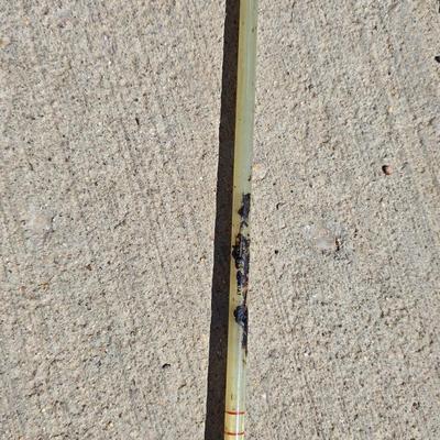 3 Vintage Fishing Rods with Reels + Wire Fish Basket