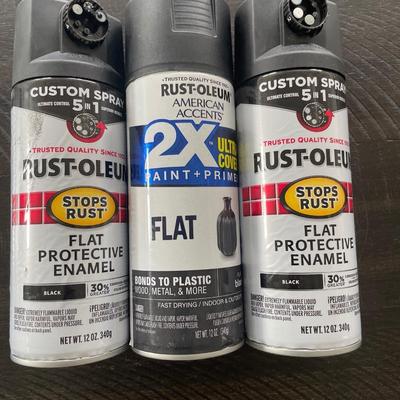 Painting supplies in tote