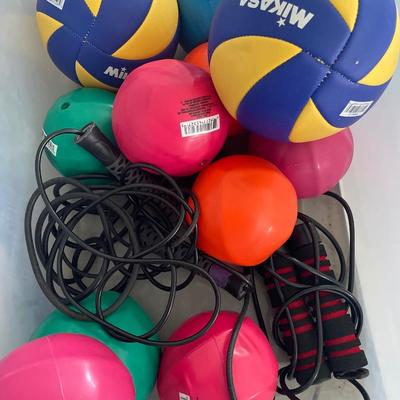 Volleyballs and knee pads in tote