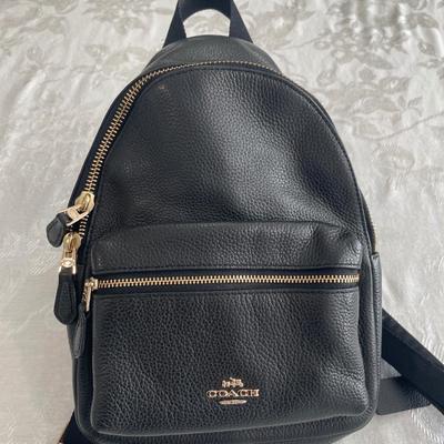 Mini Coach backpack