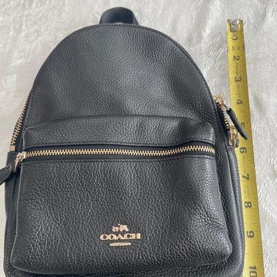 Mini Coach backpack