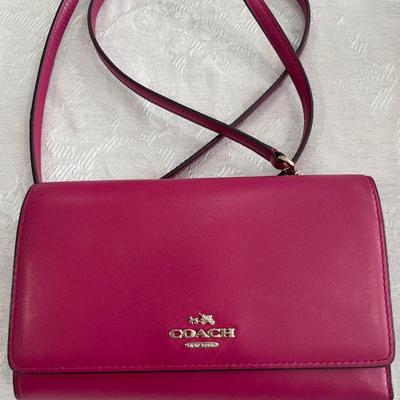 Pink Coach crossbody and Frill purse