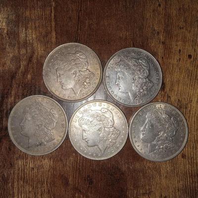 5 1921 P Morgan silver dollars