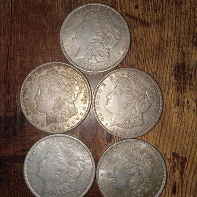 5 1921 P Morgan silver dollars