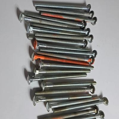 24 Heavy-Duty Carriage Bolts – 24 in each lot