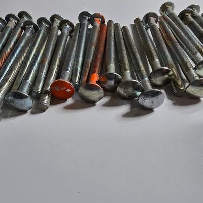 24 Heavy-Duty Carriage Bolts – 24 in each lot