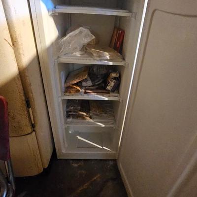 Upright Freezer