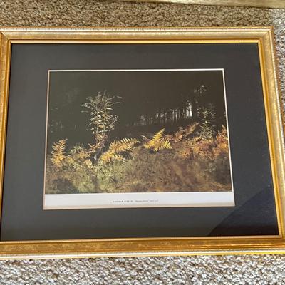 Big Lot Framed Art