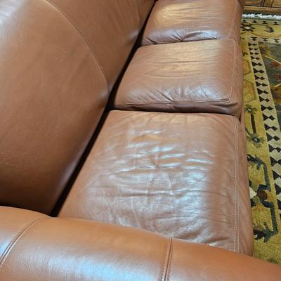 Classic Leather Chocolate Brown Leather Sleeper Sofa (LR-JS)