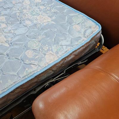Classic Leather Chocolate Brown Leather Sleeper Sofa (LR-JS)