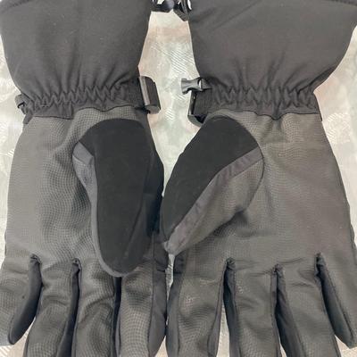 Goggles & Rossignol gloves