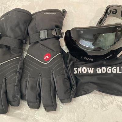 Goggles & Rossignol gloves