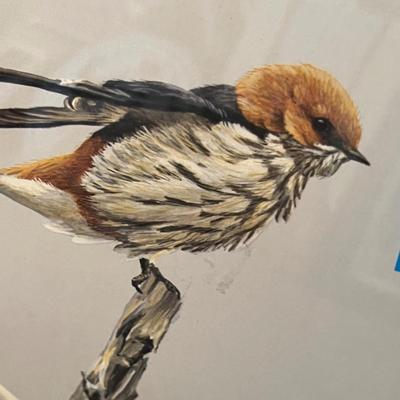 Lot 55 Bird Print