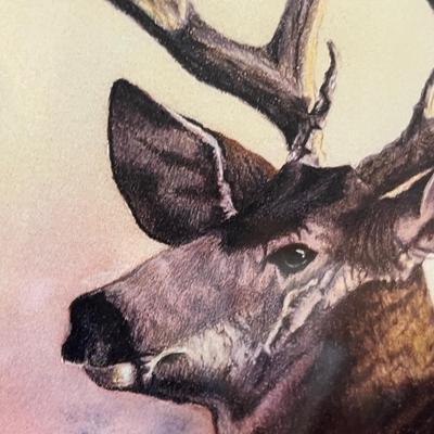 Lot 68 Elk Print, Neat frame