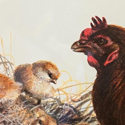 Lot 69 Barn Yard print Chickens