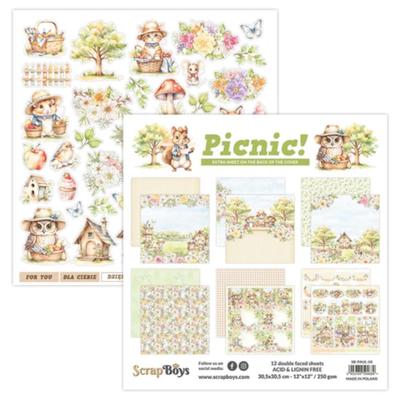 ScrapBoys Picnic! 12"x 12" Pack Scrapbook Cardmaking 12 Double Faced Acid & Lignin Free Sheets of Paper - Made in Poland