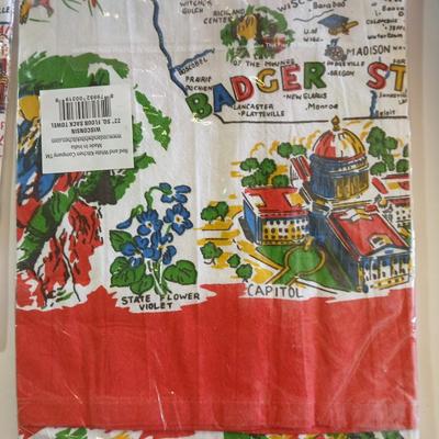 Vintage Souvenir State 22" square Flour Sack Towels
