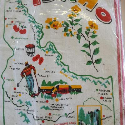 Vintage Souvenir State 22" square Flour Sack Towels