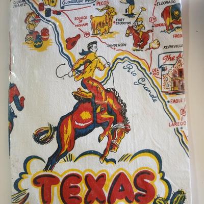 Vintage Souvenir State 22" square Flour Sack Towels