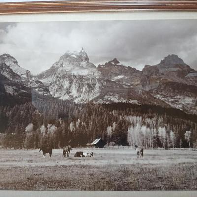 Vintage Framed Black & White Mountain Landscape and Horses Photograph – Sepia Tone