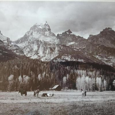 Vintage Framed Black & White Mountain Landscape and Horses Photograph – Sepia Tone