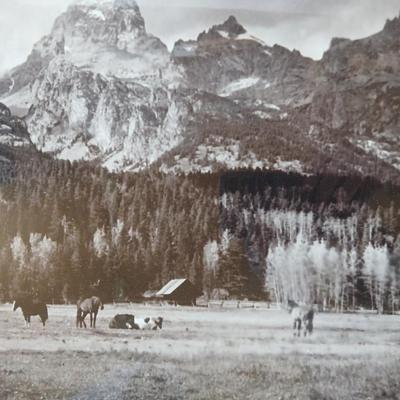 Vintage Framed Black & White Mountain Landscape and Horses Photograph – Sepia Tone