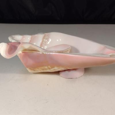 Carved Conch Shell Condiment Dish with Spoon