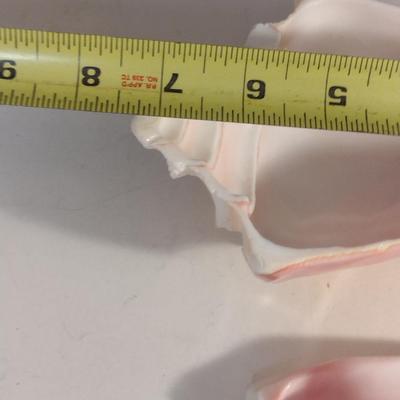 Carved Conch Shell Condiment Dish with Spoon